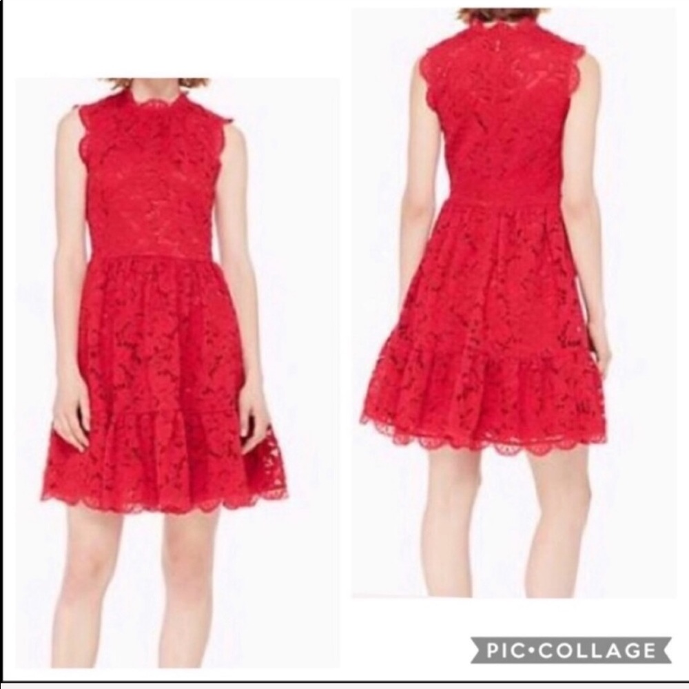 🌻🆕 Kate Spade Lingonbery Desert Muse Poppy Field